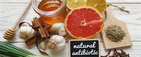 11 All Natural Antibiotics Livermore Read Our Chiropractic Blog