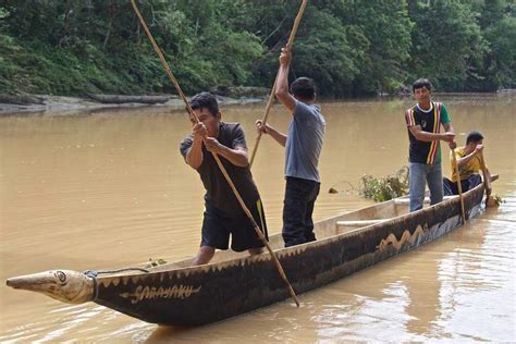 Amazon Watch Kindy Challwa Canoe Of Life Of The Kichwa First People