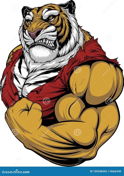 Vruchtbare Tiger Sterke Bodybuilder Vector Illustratie Illustration