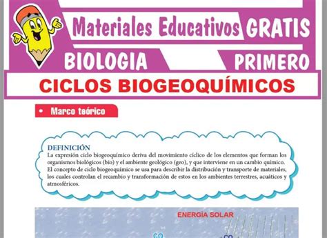 Ficha De Ciclos Biogeoqu Micos Gambaran
