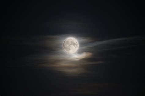 Moon Scary Free Photo Download Freeimages