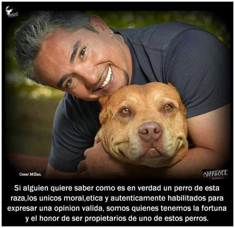 Compartan sus mejores fotos en bóxer o relatos para hacer crecer la pagina. Pin de Carolina Moreno en perros | Perros, Cesar millan ...