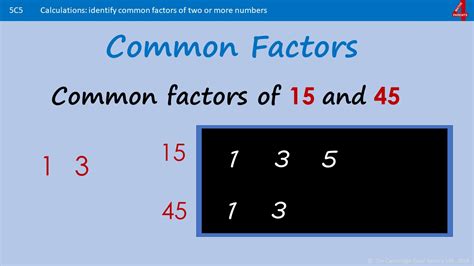 What Are The Types Of Number Used In Maths