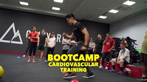 Bootcamp Cardiovascular Training Youtube