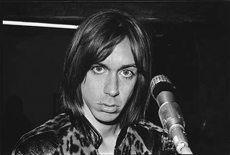 Iggy Pop Raw Power Album Laderpals