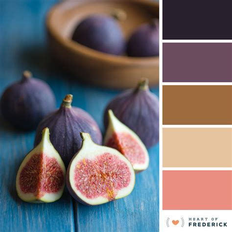 Rich Figs Color Palette