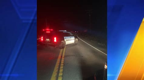 2 killed in fatal motorcycle crash in thurston county kiro 7 news seattle