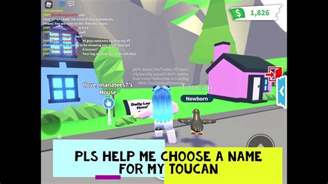 Please Help Me Choose A Name For My Toucan Roblox Adopt Me Youtube