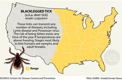 Infographic Blacklegged Tick Range Diseases And Biting Behavior
