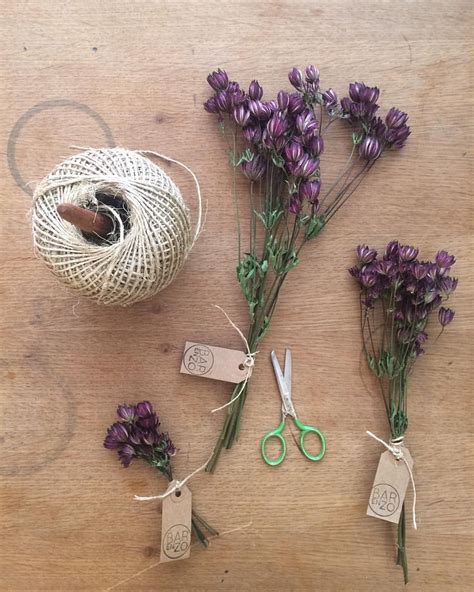 Drying flowers is a great way to preserve them for display in a vase or frame in your home. Dry Flowers DIY Botanics Sustainable | Dried flowers diy ...