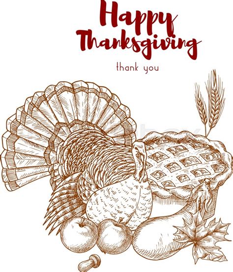 Thanksgiving Holiday Sketch Turkey Stock Vector Colourbox