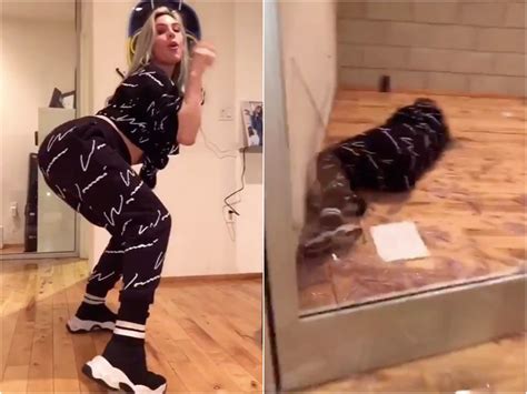 Fans Are Concerned After Watching Lele Pons Dramatically Fall Through A