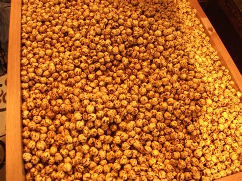 Kacang merupakan jenis makanan berupa biji, namun didalamnya terkandung berbagai nutrisi yang baik. Jenis Kacang-kacangan di Turki - Kompasiana.com
