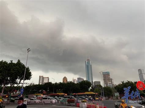 Jun 14, 2021 · 据报道，澳大利亚农民科尔·汀克用扫帚把数百只老鼠赶向临时设置的陷阱，尽管有些残忍，但他不得不设法减缓鼠害。经过多年的干旱之后，2019. 豪雨倾盆!广州启动气象灾害Ⅲ级应急响应