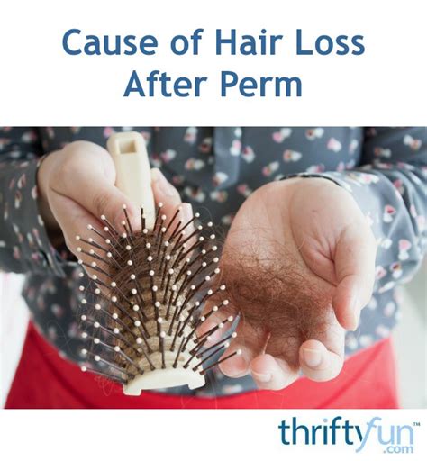 Can these hair dyes cause hair loss? Cause of Hair Loss After Perm? | ThriftyFun
