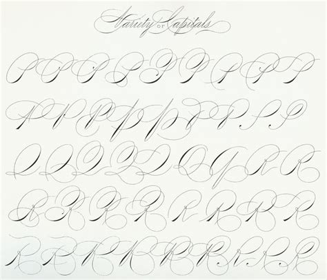 Spencerian Capitals 1200 Dpi 04 Free Calligraphy Fonts Hand