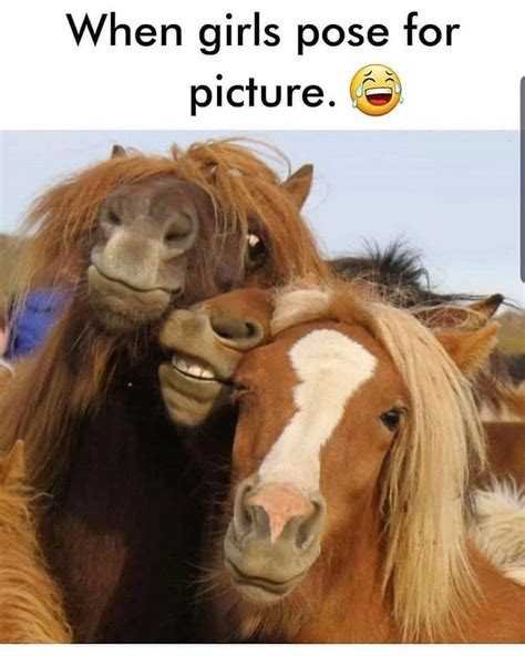 Memes Net 100 Meme That Make You Laugh Funny Horse Pictures Funny