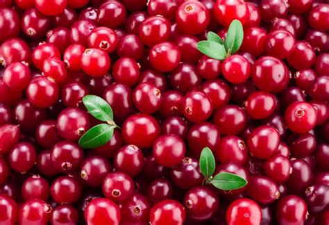 Frutas Que Comecem Com A Letra O