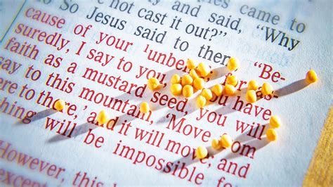 The Parable Of The Mustard Seed — The Bible The Power Of Rebirth