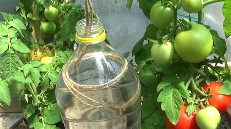 Plastic Bottle Drip Water Irrigation System With Rope Very Simple And