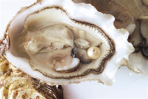 Oyster Pearl Formation