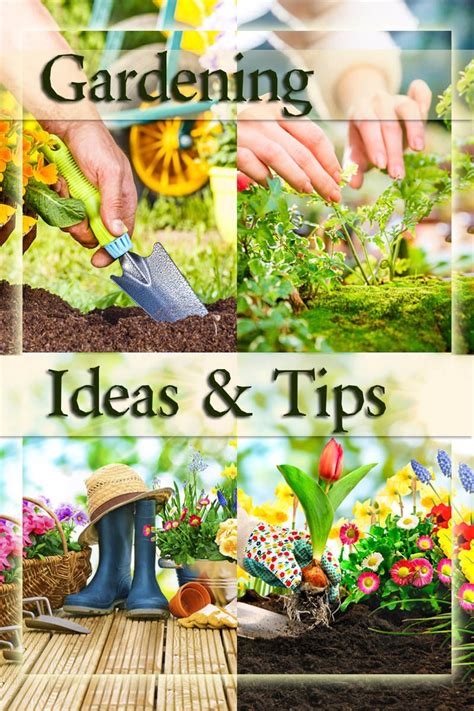 Try These Great Gardening Ideas Even If You Dont Have A Green Thumb