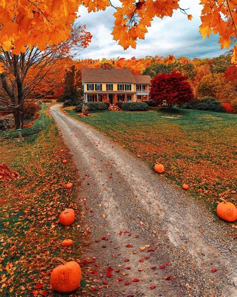 Autumn Cozy Aesthetics — Source Fall Pictures Fall Photos Beautiful