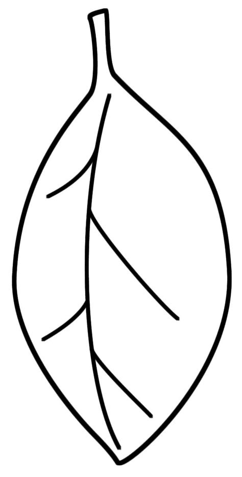 Lia griffith is a designer, maker, artist, and author. Leaf - Coloring Page (Plants) | Leaf coloring page, Leaf ...
