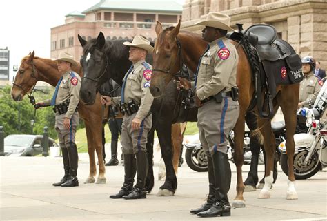 Dps Introduces Mounted Horse Patrol Unit At The Capitol Collective