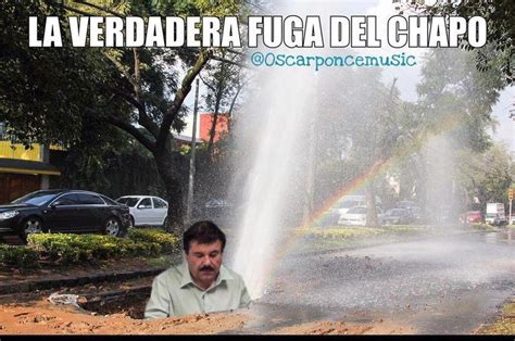 Memes En Redes Sociales De La Fuga Del Chapo Guzmán De Este Sábado