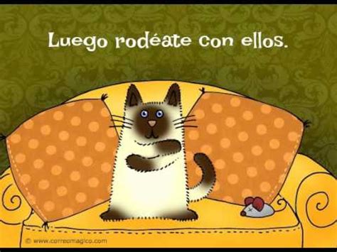 Generan confianza, combaten el estrés, son medicina natural. Un abrazo en el Día del Amigo - YouTube