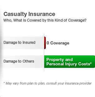 Lighthouse management, llc is a licensed mga representing lighthouse property insurance corporation, an admitted property and casualty insurance company authorized to write in florida, louisiana, south carolina, north carolina, and texas. Casualty Auto Insurance