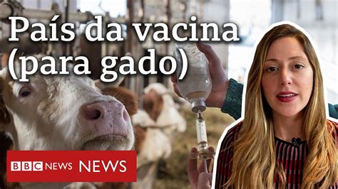 Covid 19 Brasil Tem Quase 30 Fábricas De Vacina Para Gado E Só 2 Para