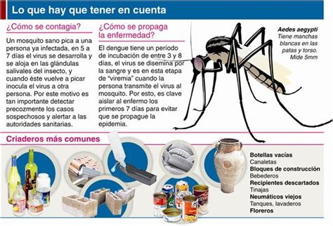 Información Sobre El Dengue