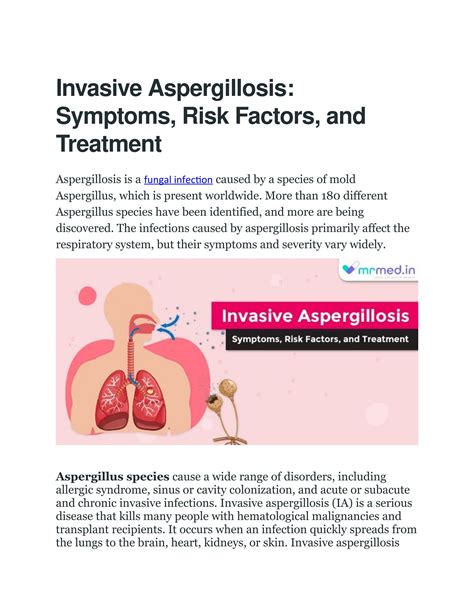 Invasive Aspergillosis Symptoms Risk Factors And Treatment By