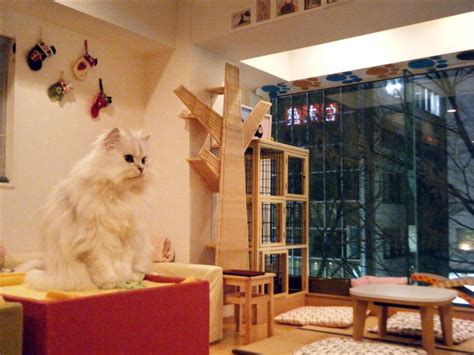 This cat cafe has amazing decor and is quite spacious. A Visit to Shibuya Station: Hachiko the Loyal Dog & a Cat ...