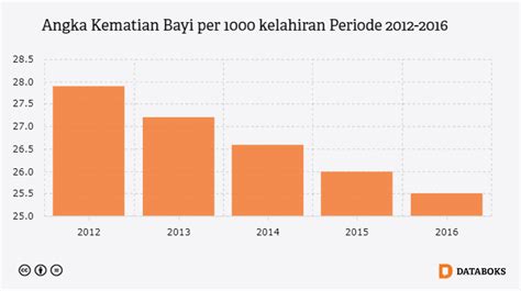 Meski Menurun, Angka Kematian Bayi di Indonesia Masih Tinggi  Databoks