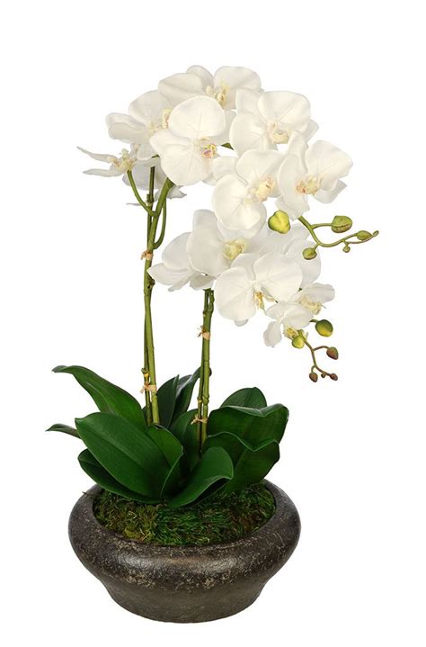 House Of Silk Flowers Artificial Double Stem Orchid In Stone Bowl