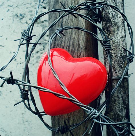 Telepathic waitress sookie stackhouse encounters a strange new supernatural world when she meets the mysterious bill compton, a southern louisiana gentleman and vampire. True love hurts finding your soulmate - Love Hurts !!! LH ...