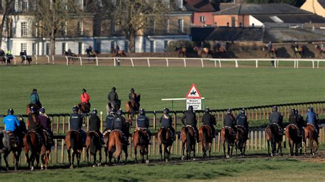 Trainers Told To Continue With Gallops Racing News Sky Sports