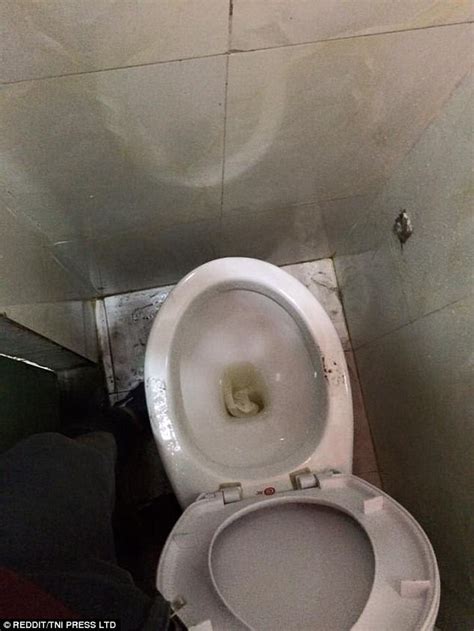 Reddit online gallery showcases the worst toilet designs | Daily Mail