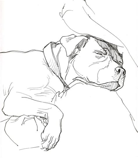 You can use our amazing online tool to color and edit the following pitbull dog coloring pages. Sleeping Pitbull Coloring Pages for Dog Lovers | Educative ...