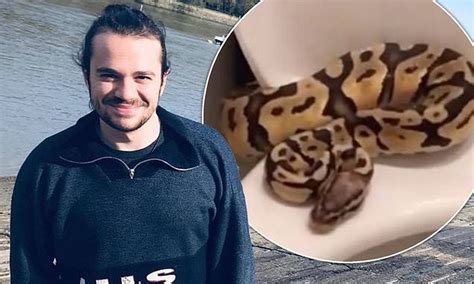 Scroll below to learn details information about harry visinoni's salary, estimated earning, lifestyle, and income reports. Coronation Street star Harry Visinoni finds four-foot long ...