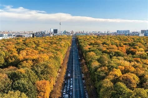 Aerial View Of The Tiergarten Berlin In Autumn Can Jan Becke Icanvas