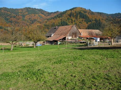 Gotthardhofes als eindachhof mit südöstlich rechtwinklig anschließendem ökonomiebau und westlich isoliert stehender. Freiburg-Schwarzwald.de: Staufen und Grunern - Bauernhof ...