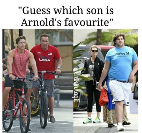 47 Funny Memes To Help Pass The Time Schwarzenegger Son Arnold