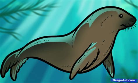 One of the most famous depictions of lions in animation is disney's the lion king. How to Draw a Sea Lion, Sea Lion, Step by Step, Sea ...