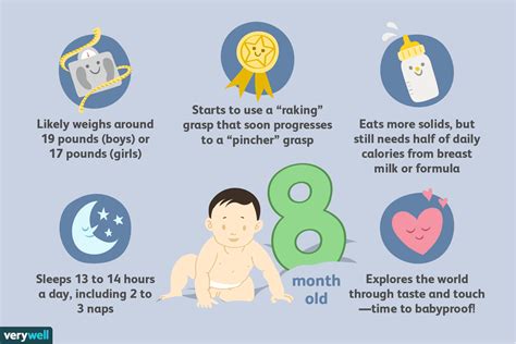 8 Month Old Baby Milestones And Development