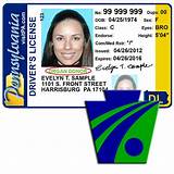 Stolen Social Security Card And Driver''s License
