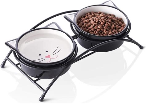 Y Yhy Ceramic Raised Cat Food Bowl Best Image Home